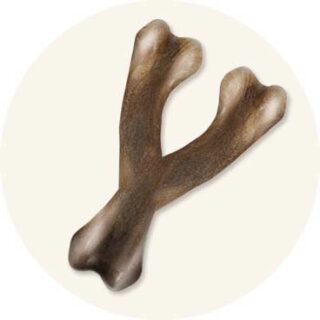 Strong Wishbone