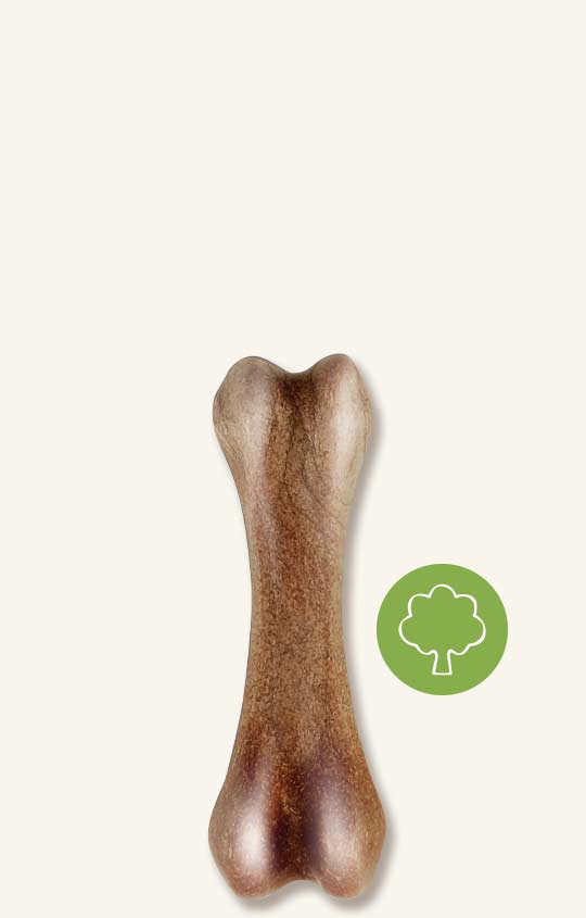 96398 Nosh Wood Chew Bone-Natural Wood-Small